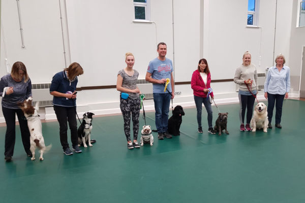Line up for Class 1 Yearly obedience test