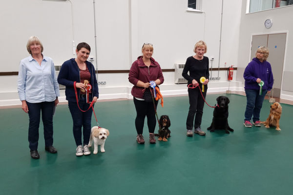 Line up for Class 3 for our yearly obedience test