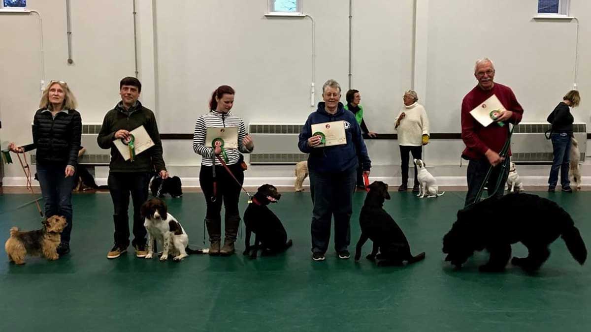 kennel club bronze award