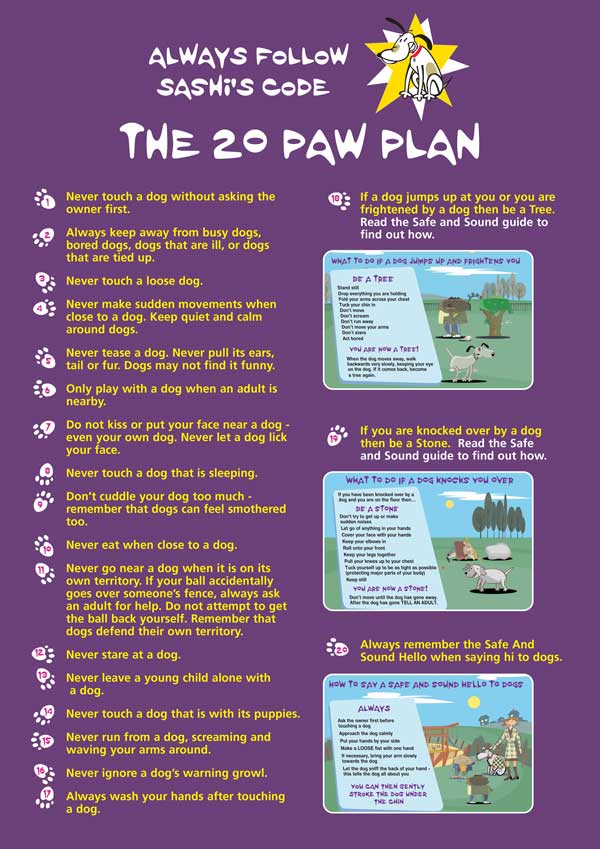 Sashi's 20 Paw Plan poster
